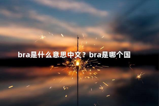 bra是什么意思中文？bra是哪个国家的品牌？