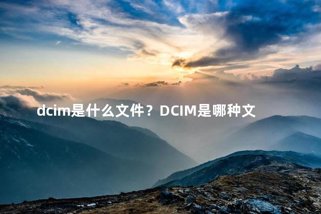 dcim是什么文件？DCIM是哪种文件类型？35字以内