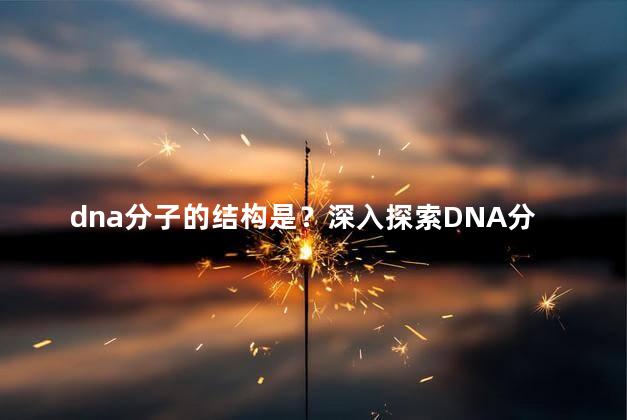 dna分子的结构是？深入探索DNA分子的结构与功能