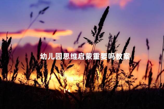 幼儿园思维启蒙重要吗教案