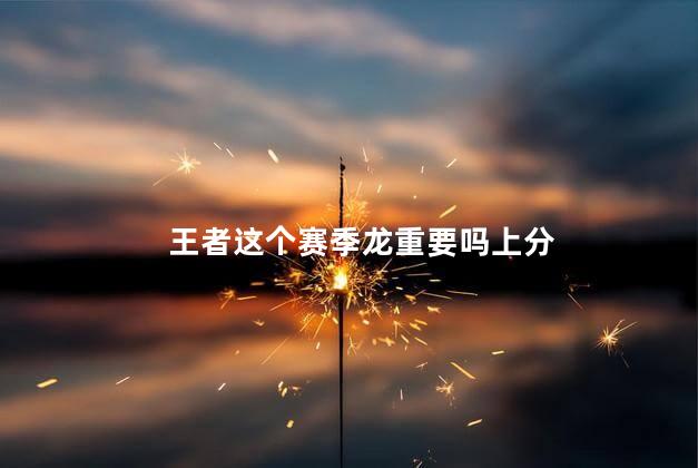 王者这个赛季龙重要吗上分