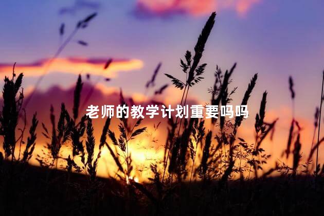 老师的教学计划重要吗吗